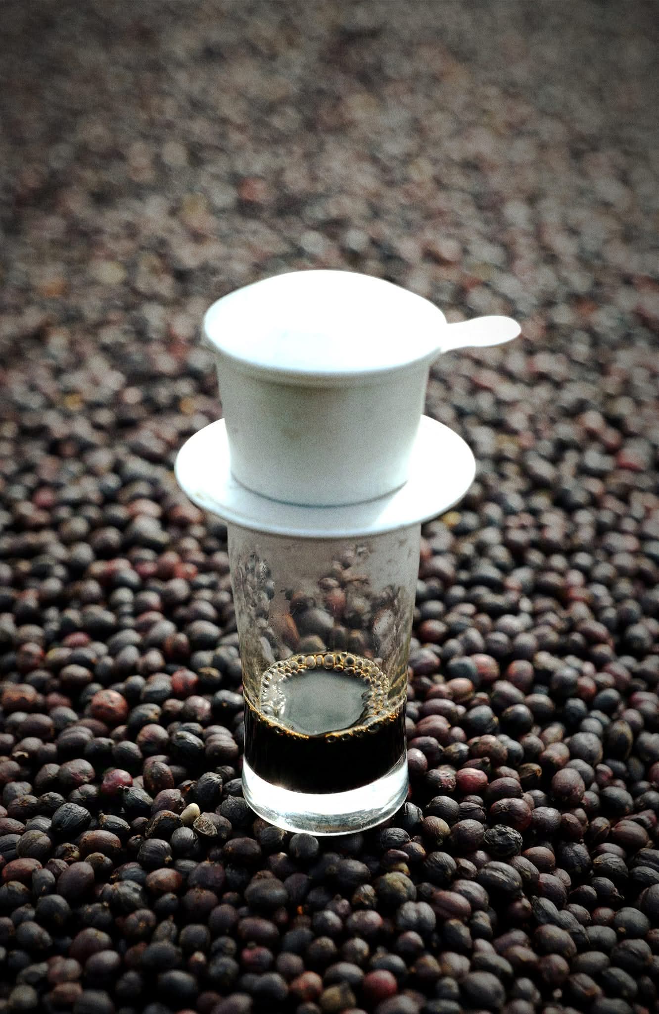 Phin Gear: The Art of Vietnamese Coffee