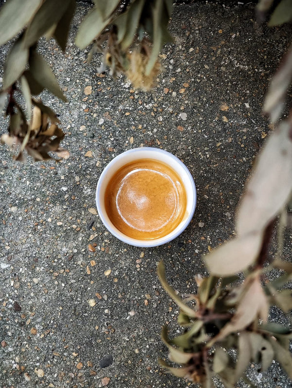 The VitaBrewX Trio Taster, featuring three 4oz bags of signature Vietnamese coffee blends.